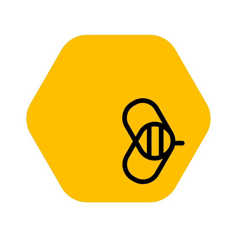 Werte – Databees